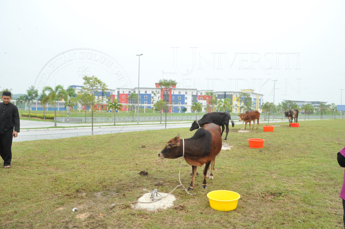 PRO15 150 KORBAN HAS 6838